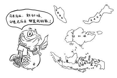 極魚龍魚：極魚龍魚缸售后服務(wù)不佳，實(shí)體店售后服務(wù)更是不懂