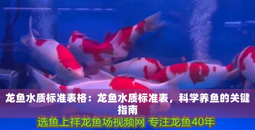 龍魚水質標準表格：龍魚水質標準表，科學養魚的關鍵指南