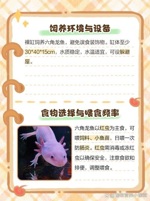 六角恐龍魚身上有白色絮狀物圖片