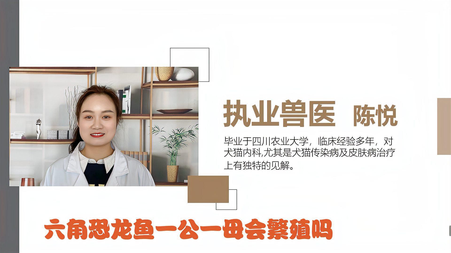 六角恐龍的繁殖方式是怎樣的？ 六角恐龍的繁殖方式是怎樣的？ 龍魚百科 第2張