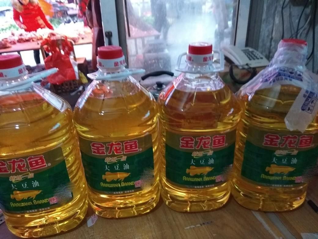 金龍魚需要驅蟲嗎：金龍魚使用鹽可以放鹽嗎(金龍魚使用鹽嗎
