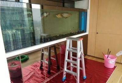 龍魚拉細長便便的原因（龍魚拉細長便便可能是由多種因素引起）