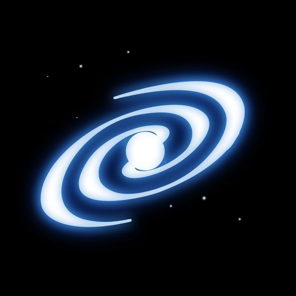 金龍魚壽命是多長時間