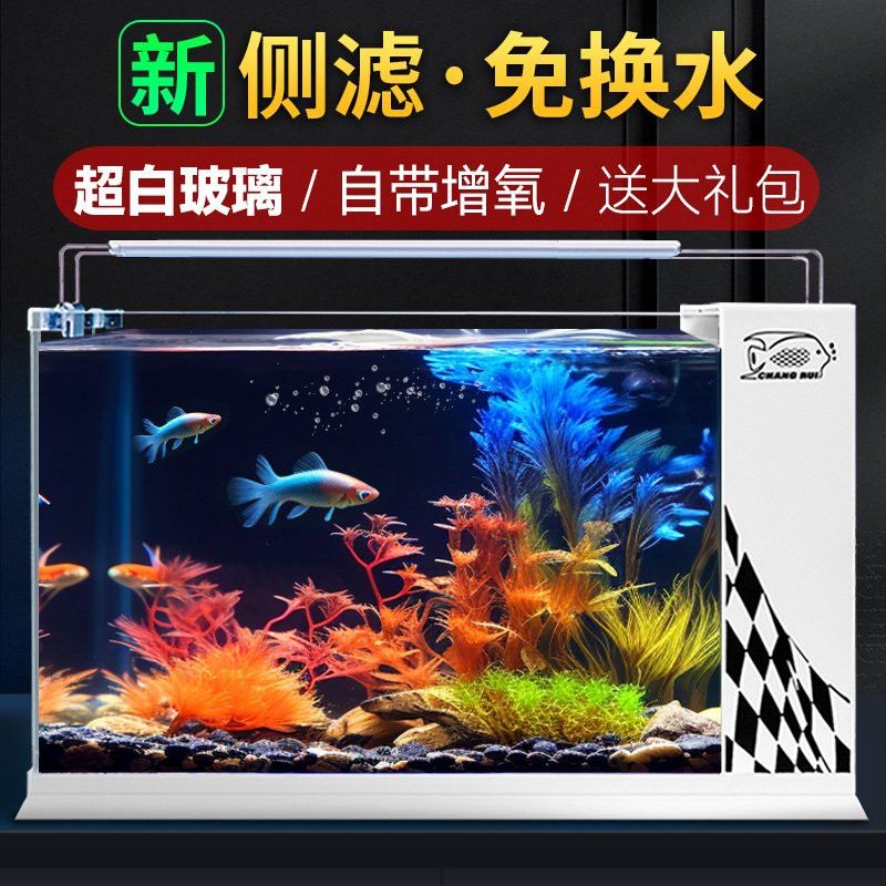 如何判斷紅龍魚眼睛外凸的病因呢：如何判斷紅龍魚眼睛外凸的病因？
