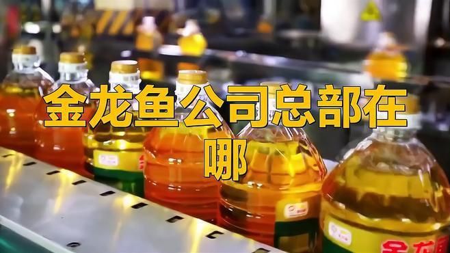 上海金龍魚在上海的總部和上海有什么不同