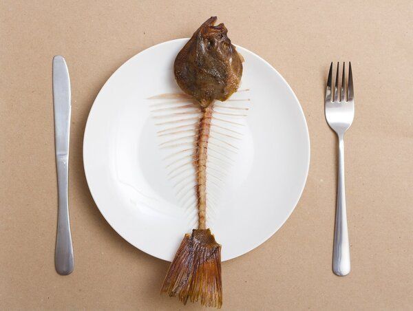 魚類細(xì)菌傳染給人的概率有多大？