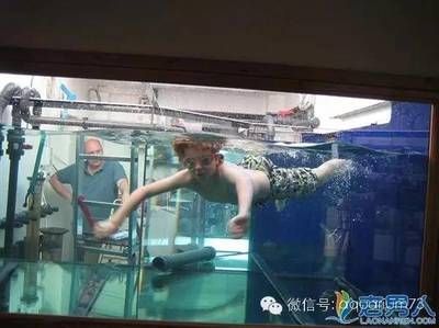 1.5米魚缸多少升水，魚缸水量計算公式