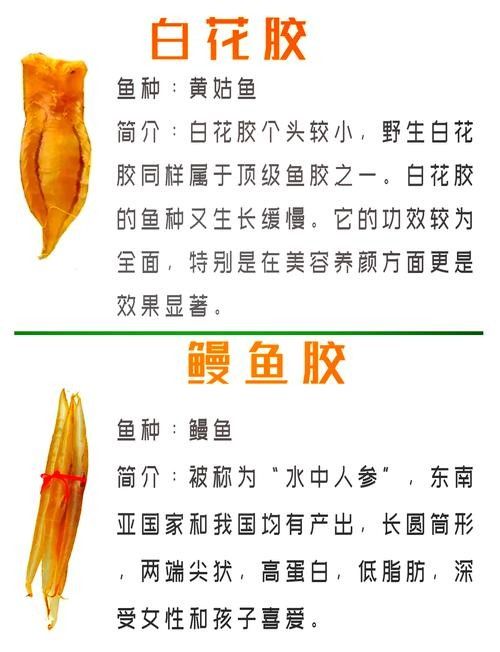 龍魚頭上翹尾巴下沉 龍魚頭上翹尾巴下沉 龍魚百科 第24張