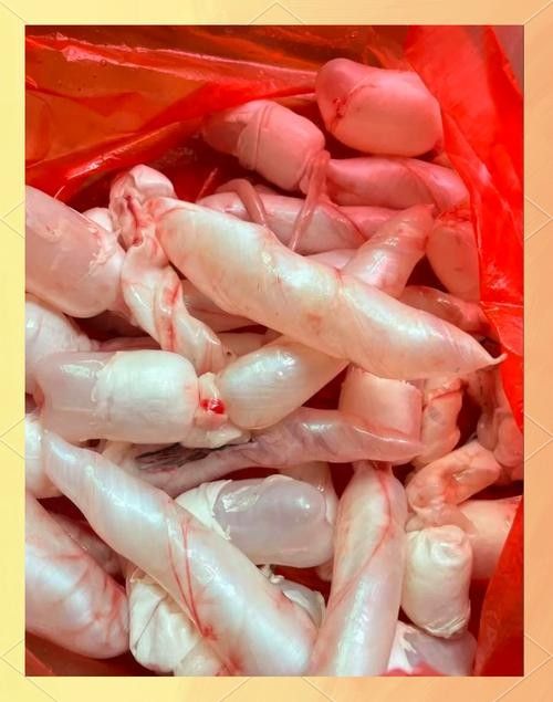 龍魚頭上翹尾巴下沉 龍魚頭上翹尾巴下沉 龍魚百科 第35張