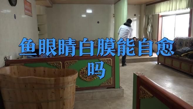 龍魚眼睛有白膜能自愈嗎？ 龍魚眼睛有白膜能自愈嗎？ 龍魚百科 第1張