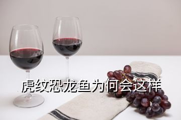 虎紋恐龍魚捕食方法（虎紋恐龍魚捕食方法詳細(xì)介紹虎紋恐龍魚捕食技巧提升）