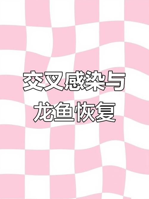 龍魚病癥與治療方法圖片高清