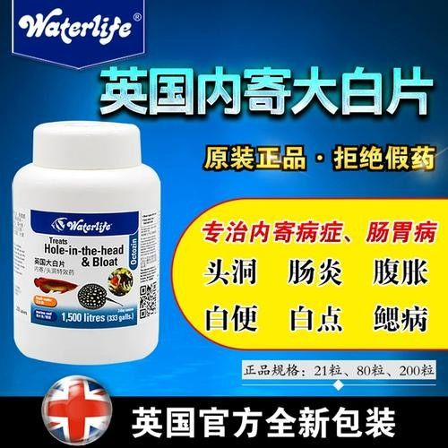 龍魚病癥與治療方法圖片高清