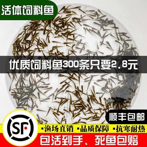 紅龍魚飼料配方大全表圖片