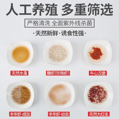 龍魚哪家好，龍魚養殖技巧有哪些