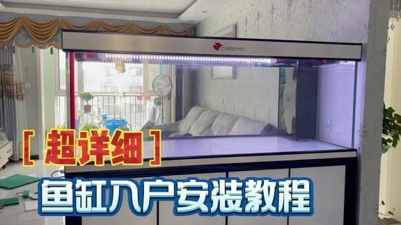 金九龍魚缸怎么安裝：安裝金九龍魚缸需要經過一系列的步驟