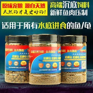 招財貓魚苗飼料選擇指南：招財貓魚苗飼料品牌推薦