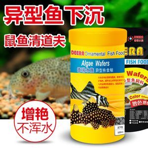 招財貓魚苗飼料選擇指南：招財貓魚苗飼料品牌推薦