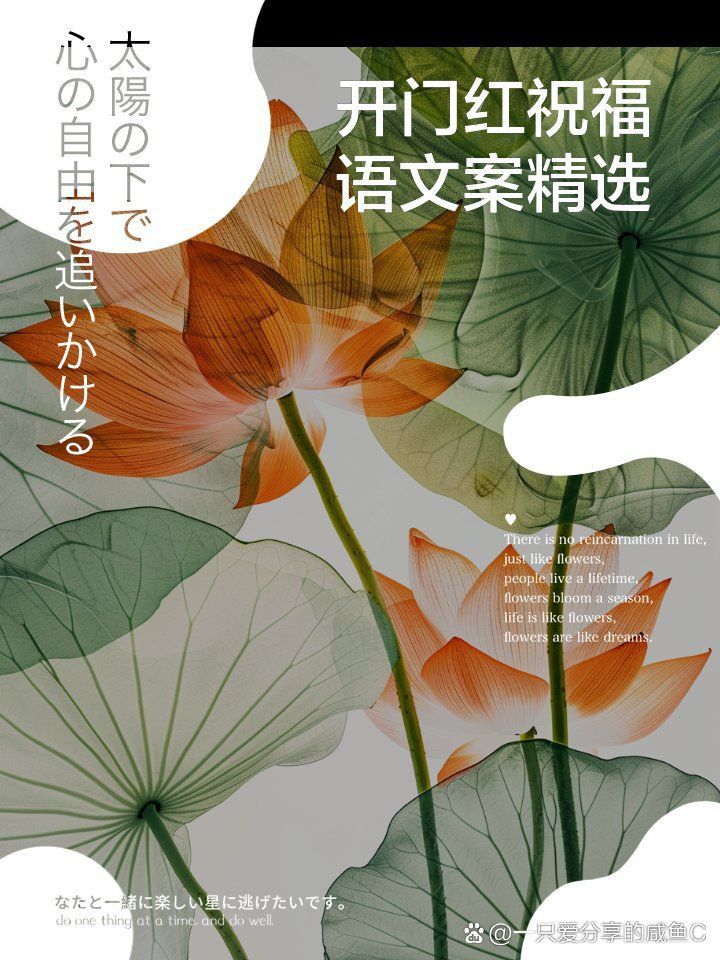 開年紅頭運