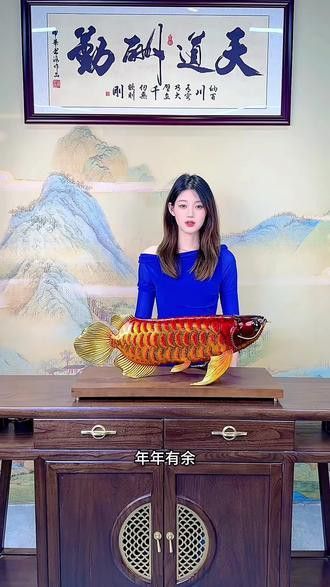 金龍魚五十公分多少錢一條
