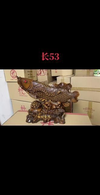 金龍魚五十公分多少錢一條