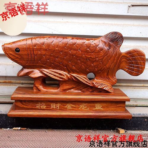 金龍魚五十公分多少錢一條