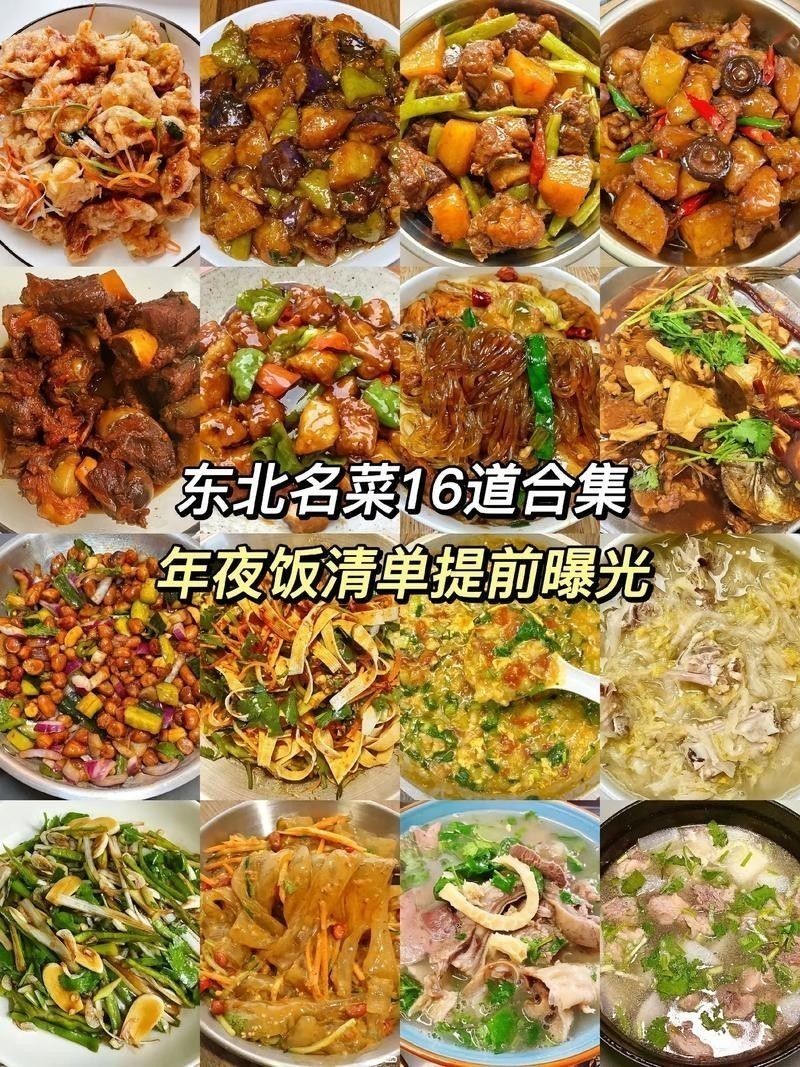 龍龍生活記錄類視頻推薦