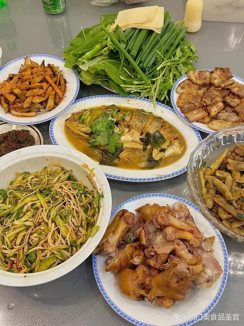 龍龍生活記錄類視頻推薦