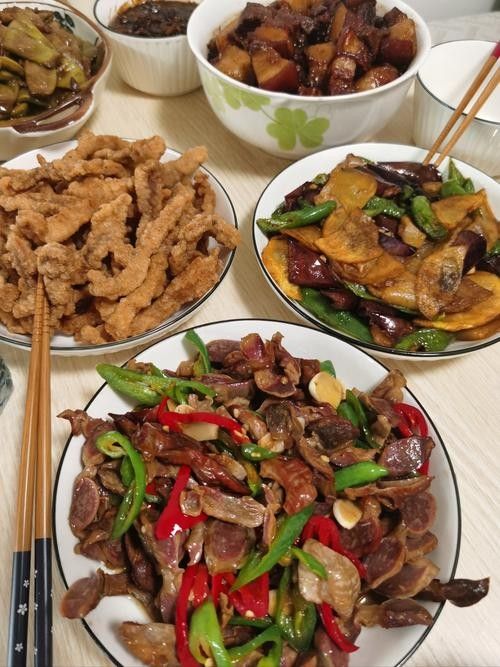 龍龍生活記錄類視頻推薦