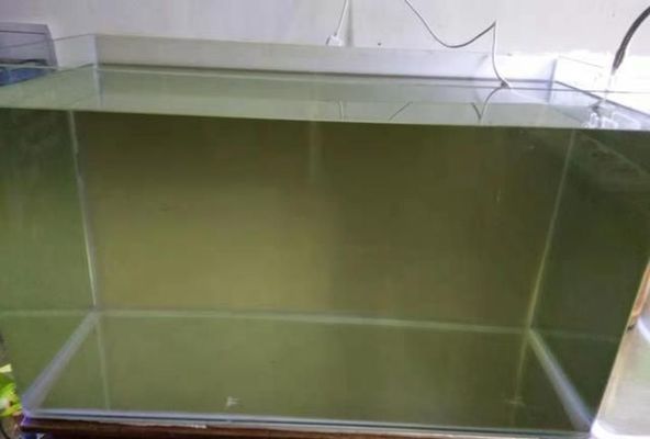藍帆三間魚水質監測方法（藍帆三間魚水質毒性檢測方法）