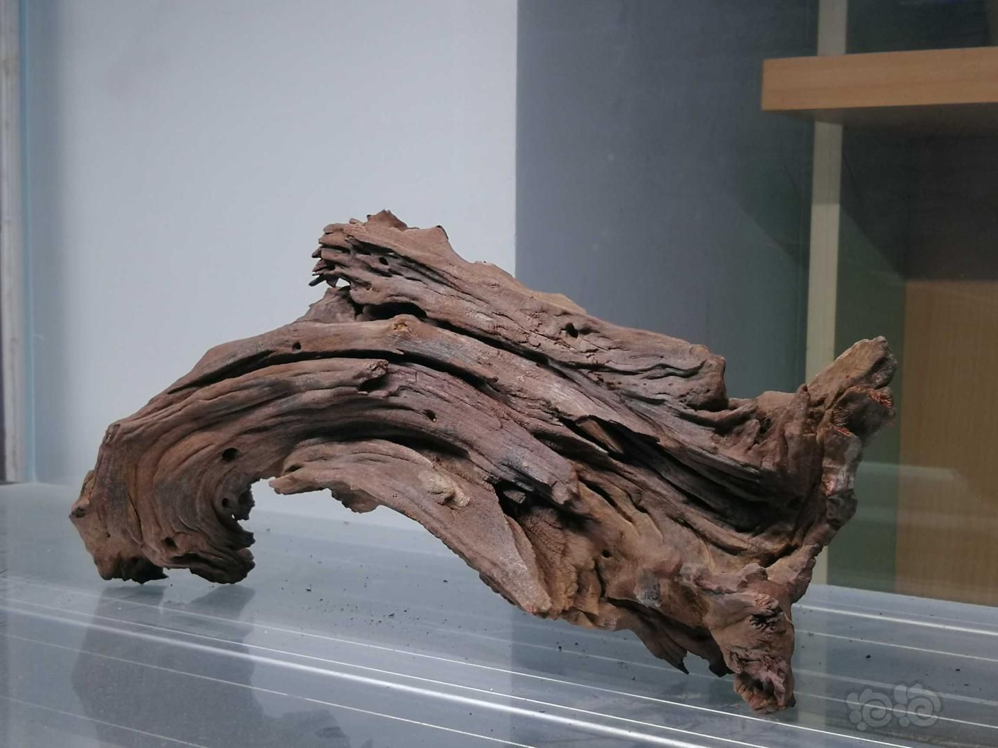 沉木適合養龍魚嗎：沉木養龍魚缸里的沉木對魚缸里的沉木對魚有害嗎