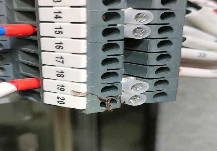 有什么魚清理魚缸里的糞便（有什么魚清理魚缸里的糞便最好）