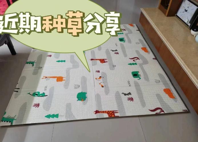 曼龍爬行墊哪個系列適合早教
