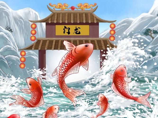 香港龍魚門躍圖片高清大圖