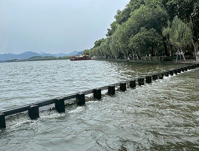 香港龍魚門躍圖片高清大圖