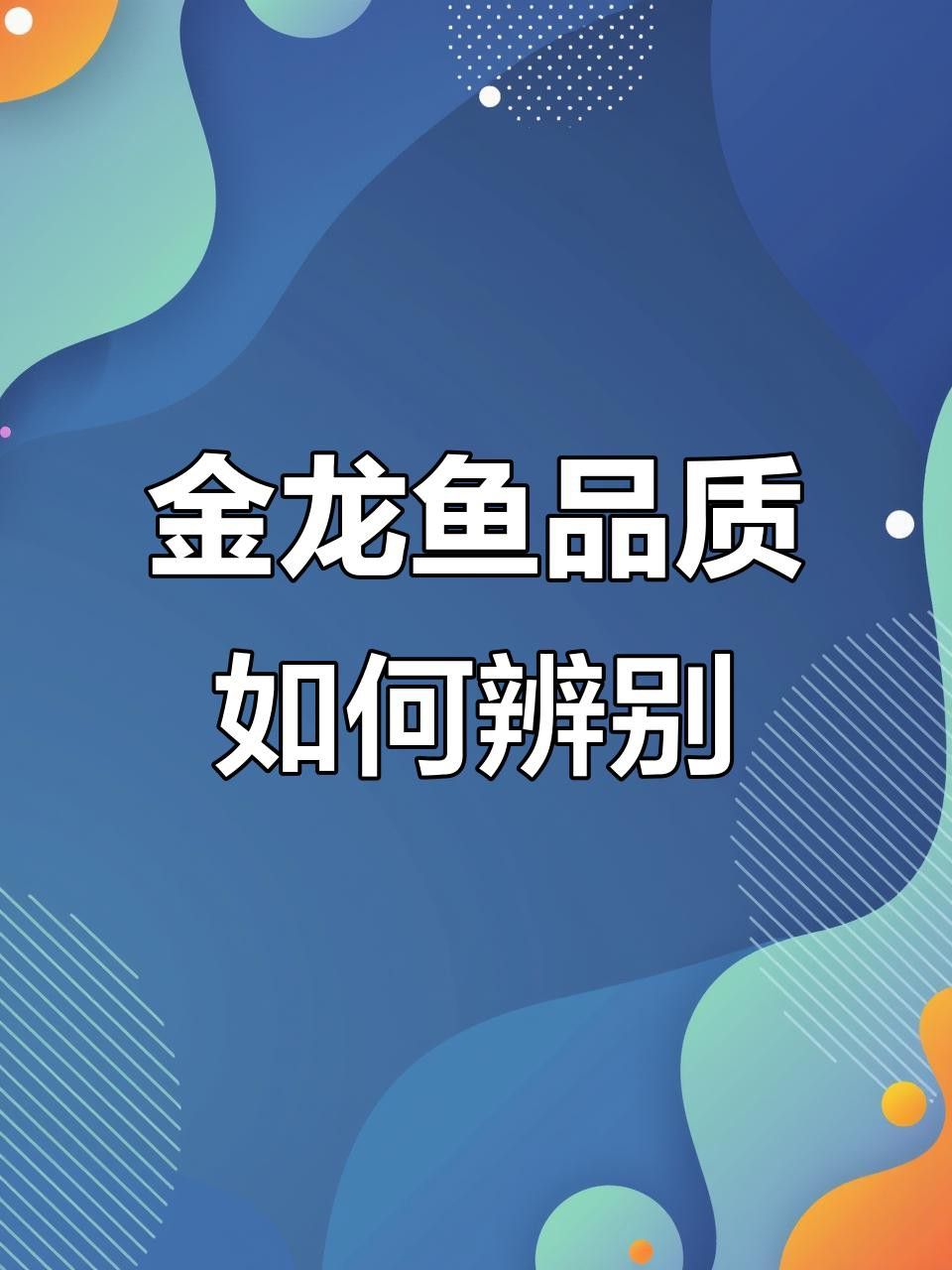 金龍魚品相評估有哪些標準？