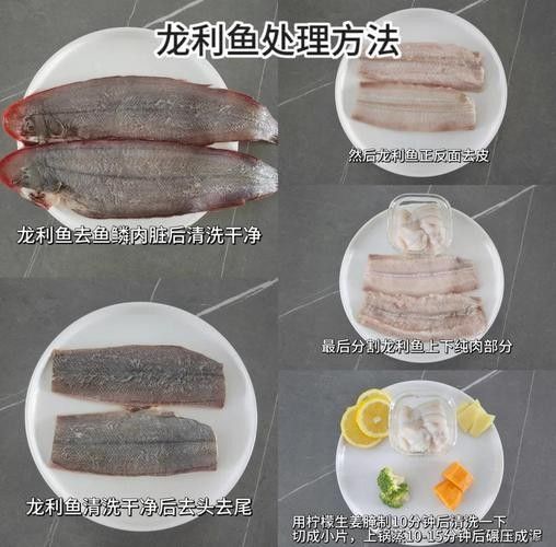 龍魚能吃小魚苗嗎圖片
