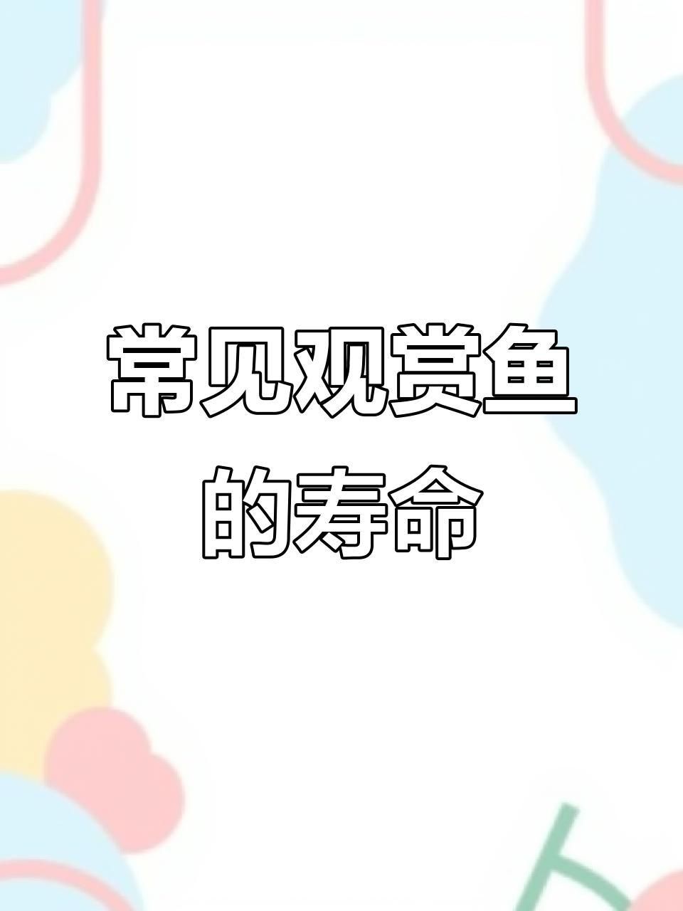哪種小型觀賞魚壽命最長