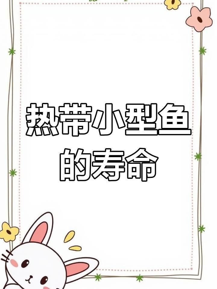 哪種小型觀賞魚壽命最長