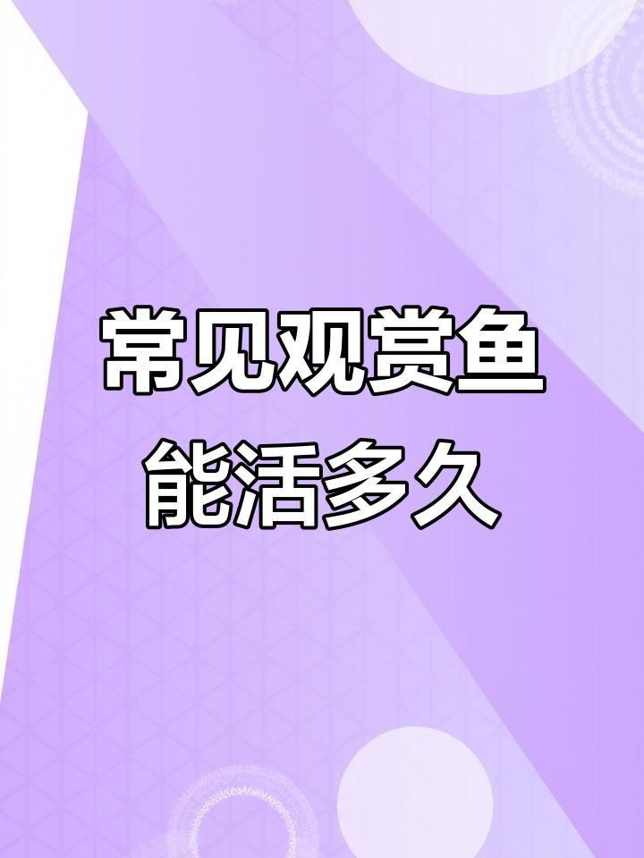 哪種小型觀賞魚壽命最長