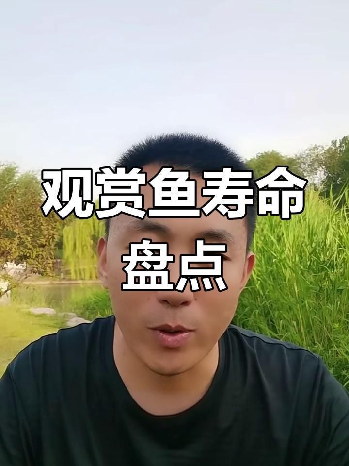 哪種小型觀賞魚壽命最長