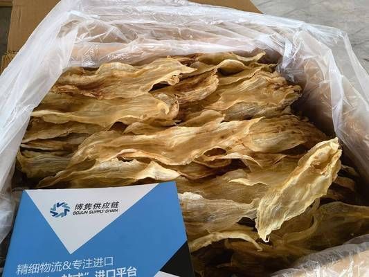 進(jìn)口龍魚回國需要什么手續(xù)才能養(yǎng)活：如何選擇進(jìn)口龍魚