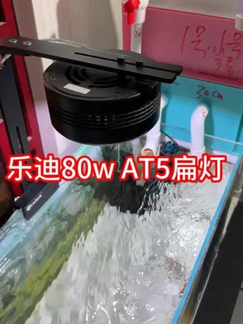 樂迪80W全能型燈具體參數(shù)