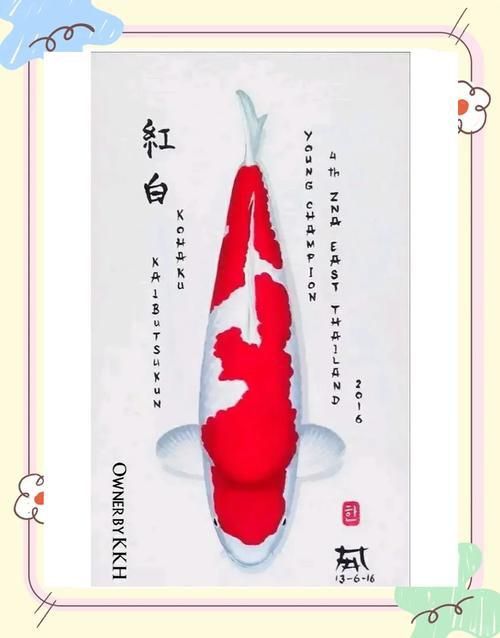 錦鯉紅白幾段最好圖片