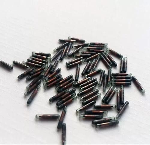 金龍魚芯片是什么樣的產(chǎn)品圖片