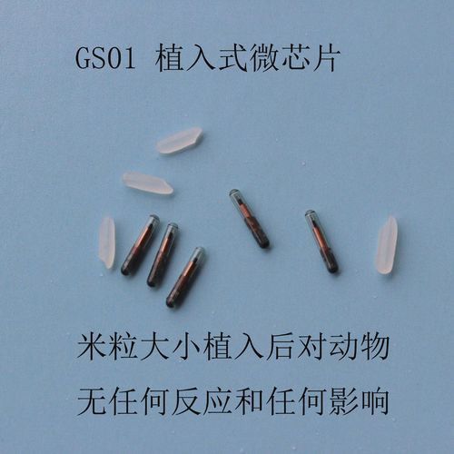 金龍魚芯片是什么樣的產(chǎn)品圖片