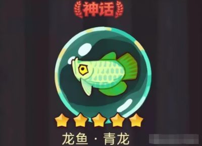 可麗愛魚缸過濾器安裝圖片視頻（可麗愛過濾器濾材選擇指南魚缸過濾器維護周期詳解）