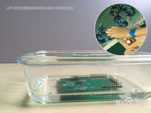 金龍魚喂麥穗魚可以嗎：養金龍魚可以放麥飯石嗎？麥飯石對金龍魚的影響分析