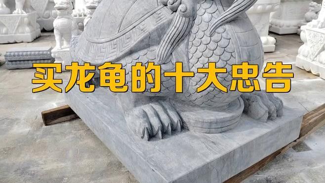 如何辨別龍龜的真偽？