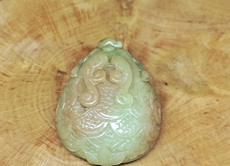 如何辨別龍龜的真偽？